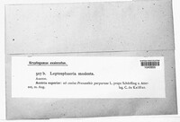 Image Associated With the Occurrence